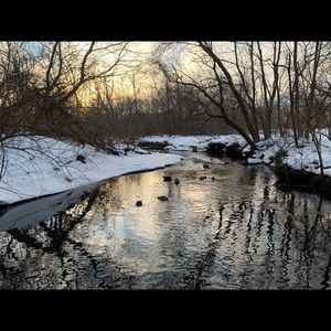 Meet your Posher, Nadia